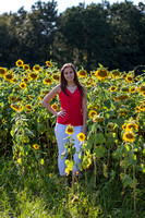 Kristin Sunflowers